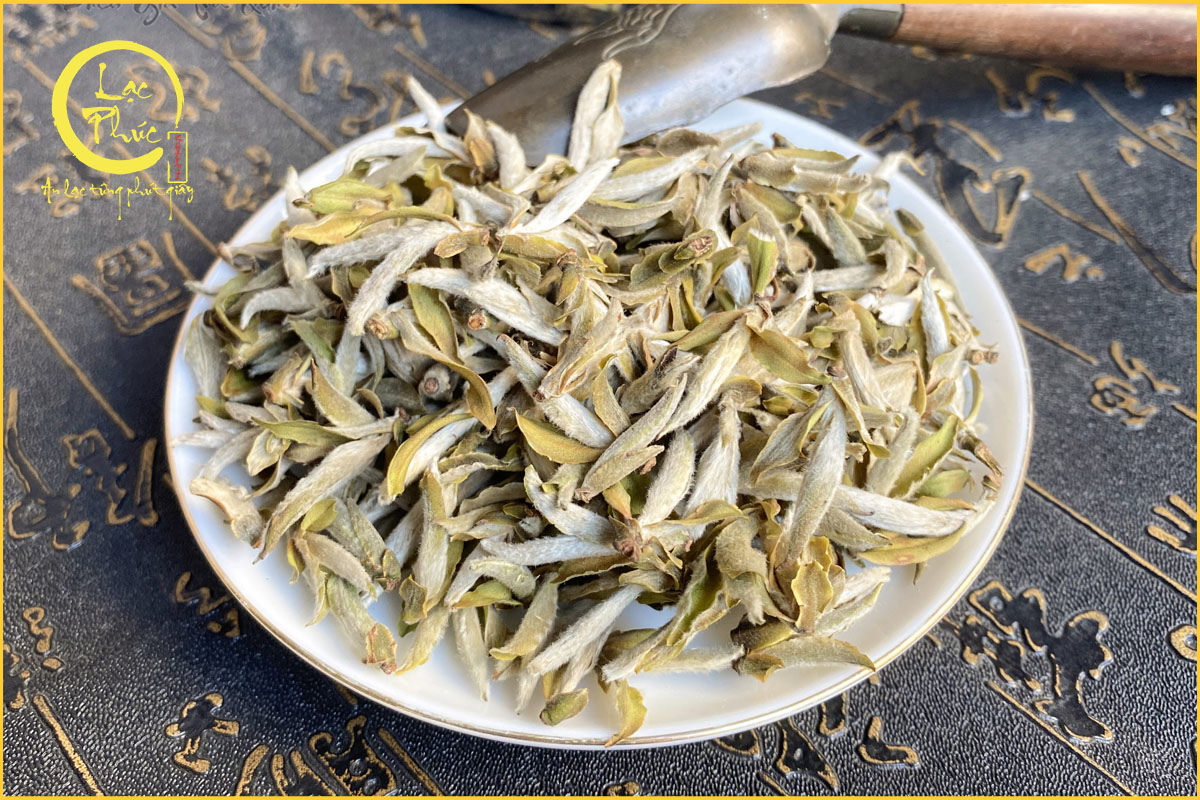 Đặc điểm nổi bật của Bạch Trà Tiên