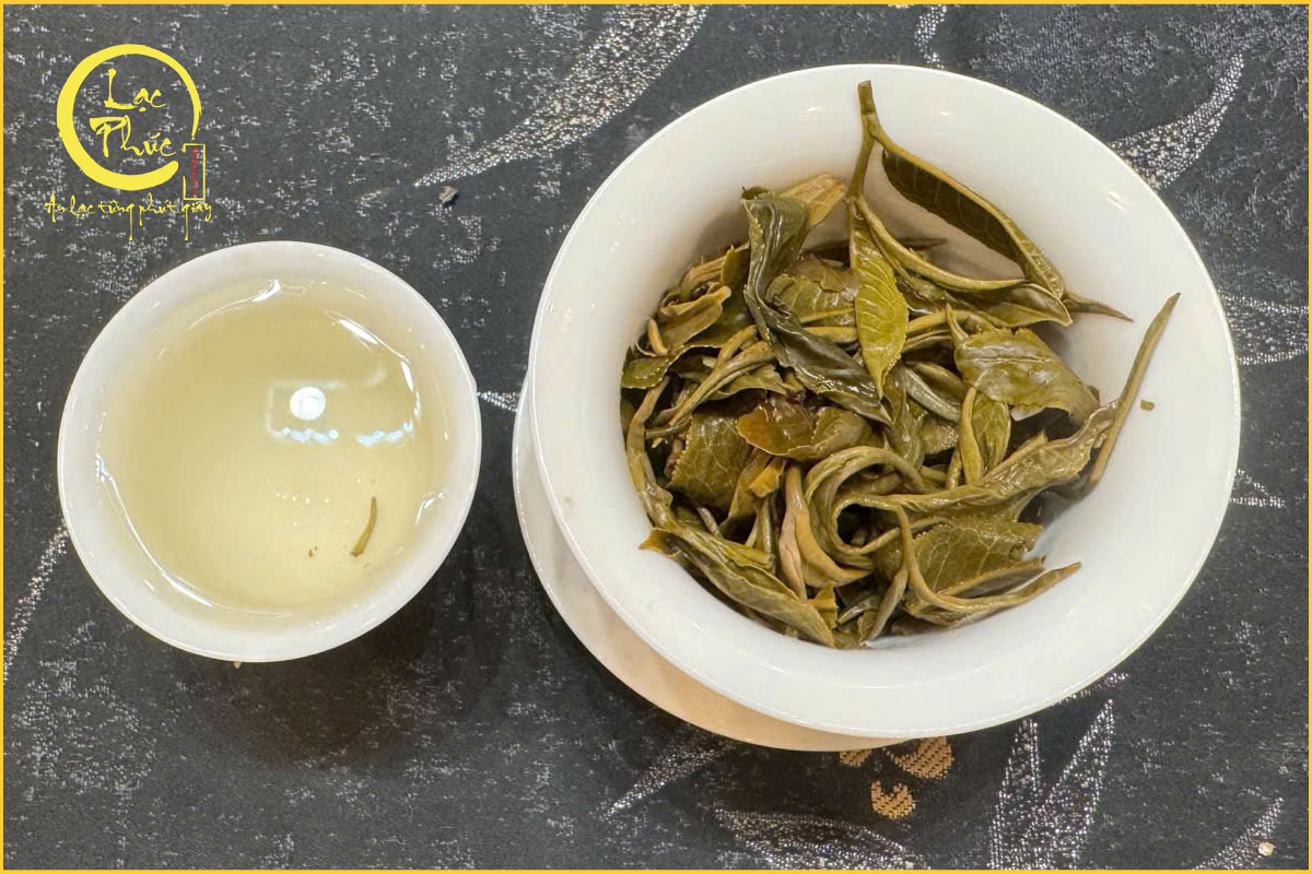 Đặc điểm nổi bật của Trà Bích Loa Xuân Giang Tô