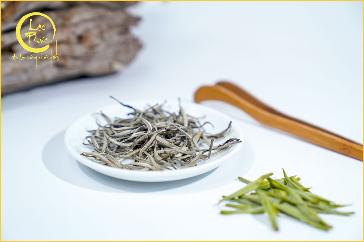 Đặc điểm nổi bật của Trà Shan Tuyết