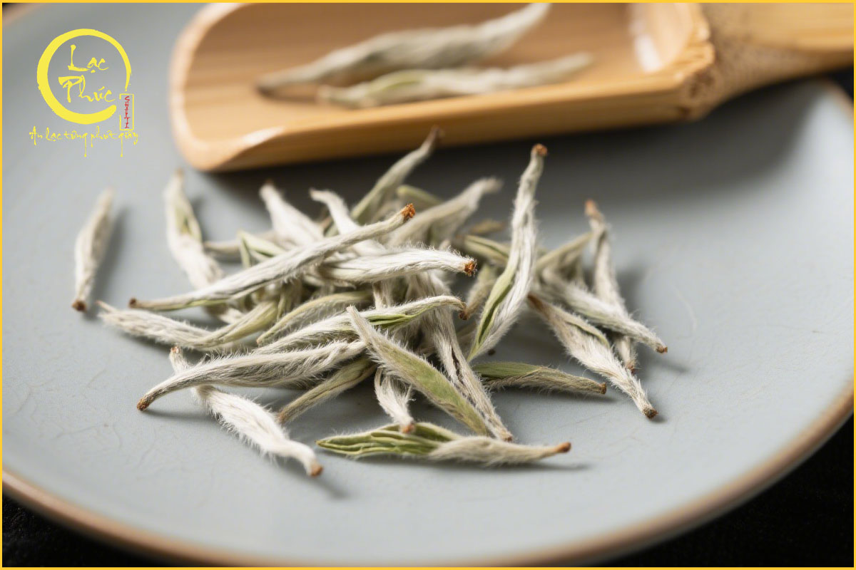 Đặc điểm và giá trị của bạch trà