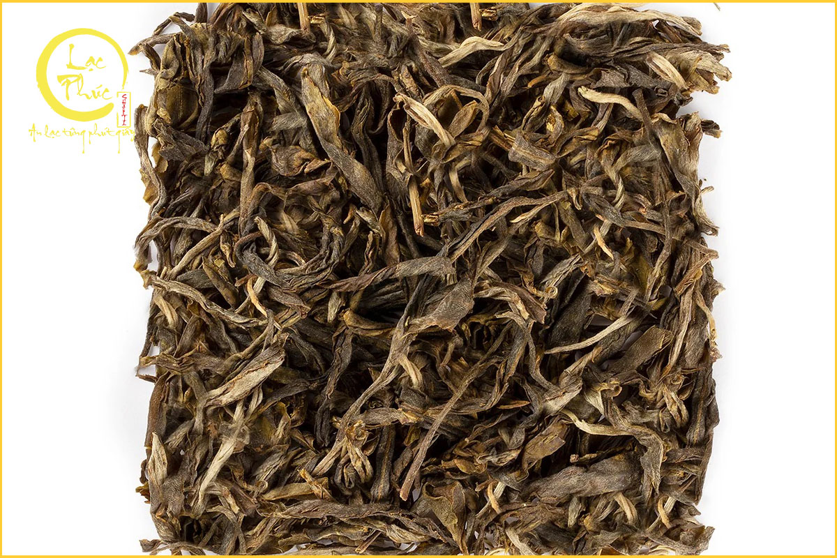 Đặc trưng hương thơm của Trà Phổ Nhĩ sống Ma Hắc