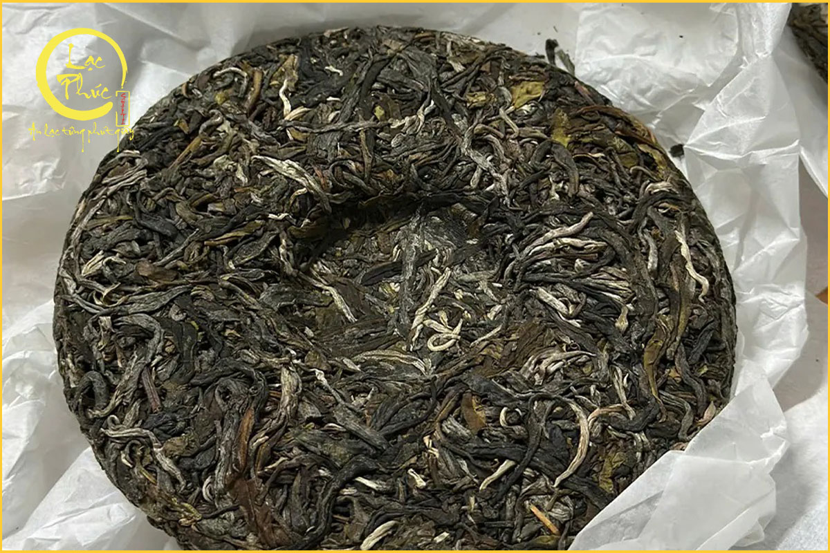 Đặc trưng hương vị Trà Phổ Nhĩ sống Vô Lượng Sơn Bí Cảnh