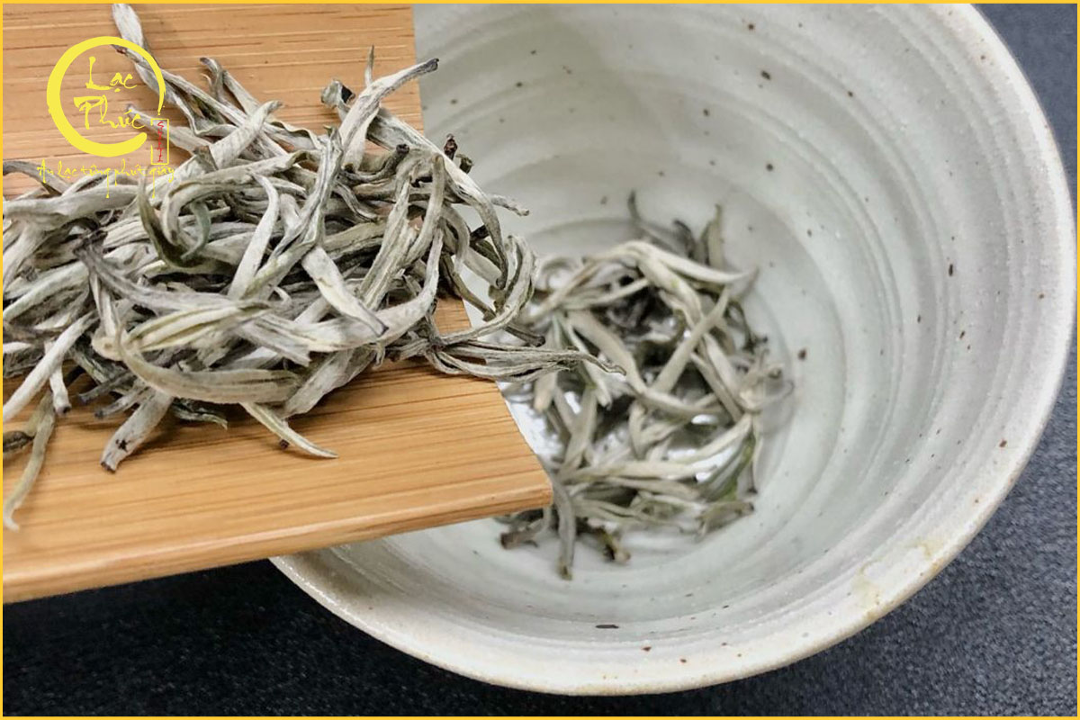 Điều gì tạo nên giá trị của Bạch Trà Tiên?