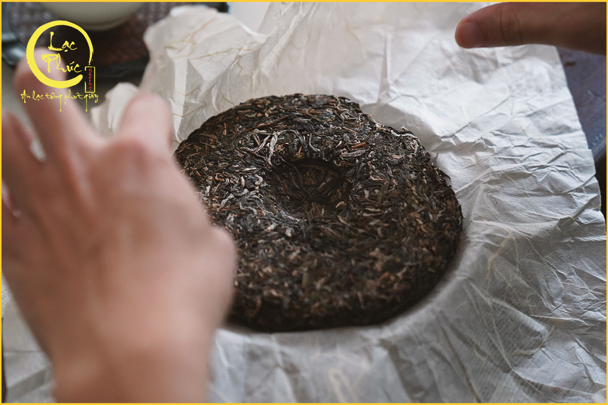 Độ hiếm của trà cổ thụ - Lý do lớn nhất khiến giá tăng mạnh