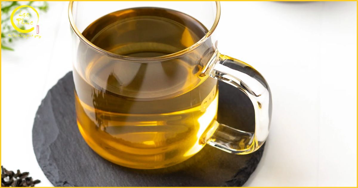 Đối tượng nên dùng Trà Ô Long Sâm Ngọc Linh