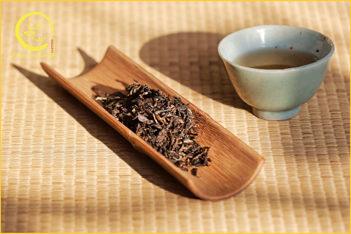 Giới thiệu về Phổ Nhĩ sống Vô Lượng Sơn bí cảnh