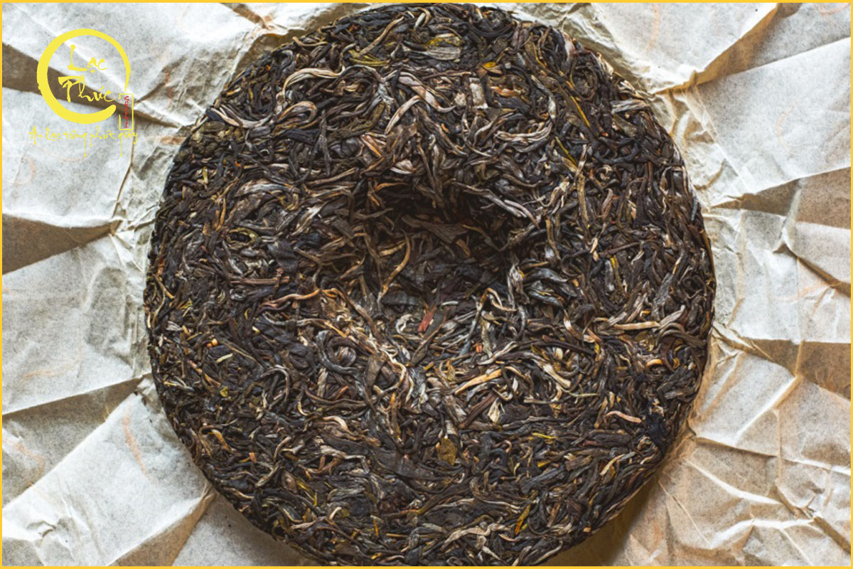 Hành trình của những cây trà trăm năm tuổi