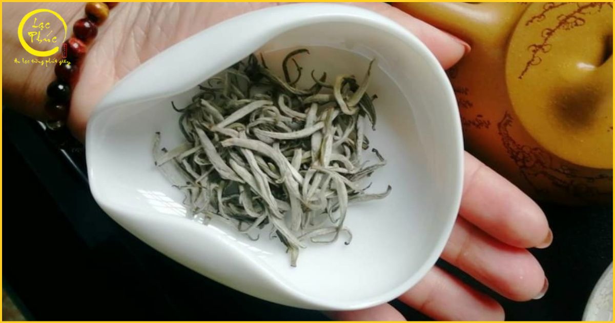Hành trình lan tỏa tinh hoa trà Việt của Cao Sơn Trà