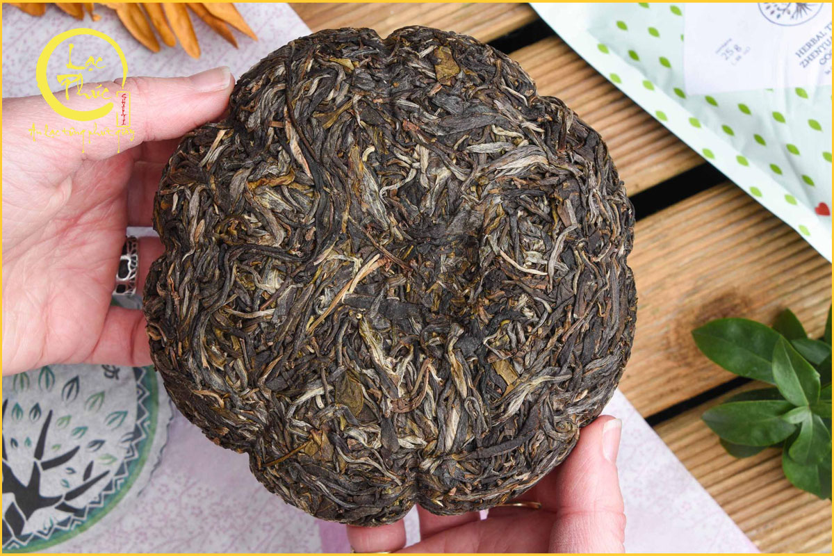 Hậu vị dài - Yếu tố quan trọng tạo nên giá trị của trà cổ thụ