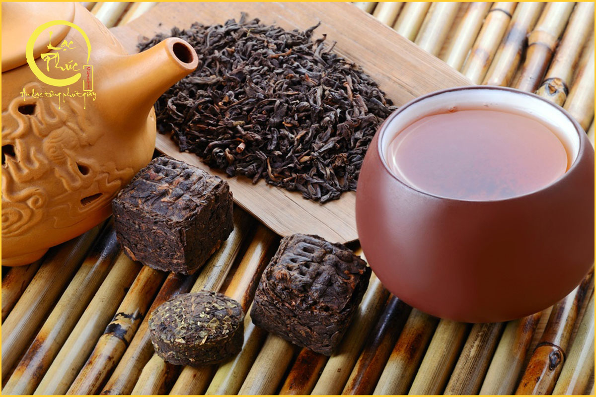 Hướng dẫn nhận biết trà Phổ Nhĩ cổ thụ Hà Giang thật và giả