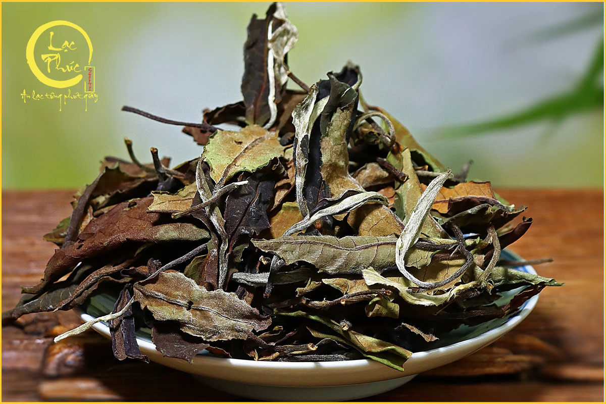 Hương thơm của Bạch trà Mẫu Đơn Hạ Khai Tử Nha Đơn có gì đặc biệt?