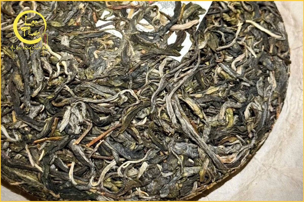 Hương vị của Trà phổ nhĩ sống Cảnh Mại Trà Vương