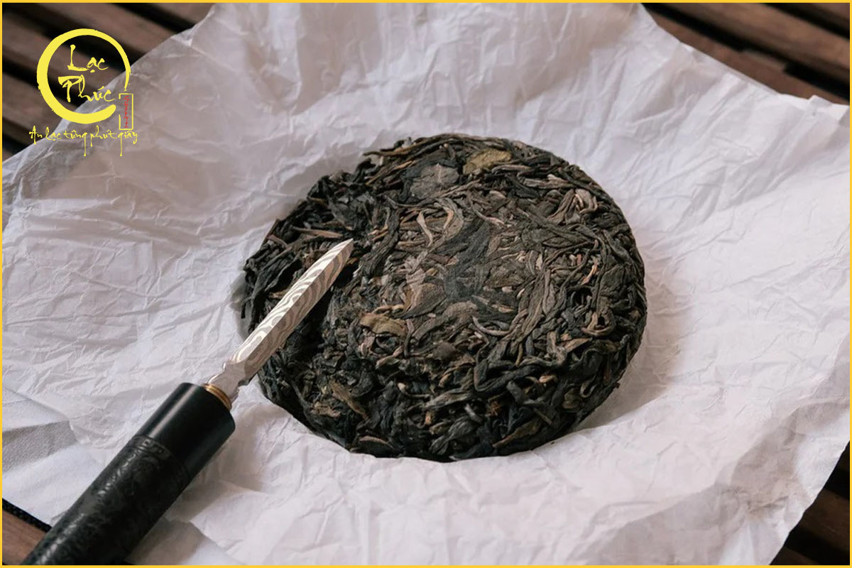 Hương vị đặc trưng của 10 vùng trồng Phổ Nhĩ Sống ngon nhất