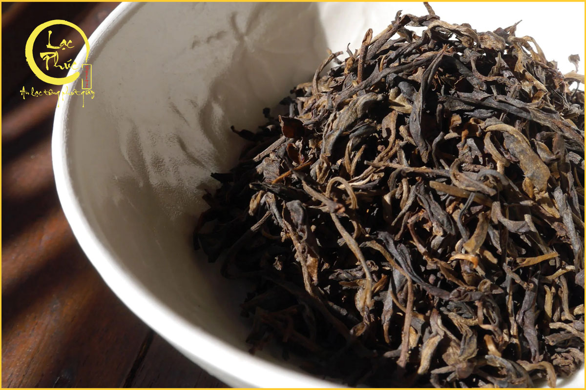 Hương vị Trà Phổ Nhĩ sống Vô Lượng Sơn Bí Cảnh có gì đặc biệt?