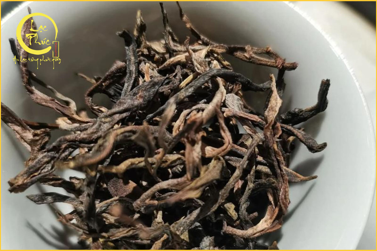 Khí trà mang dấu ấn rừng nguyên sinh