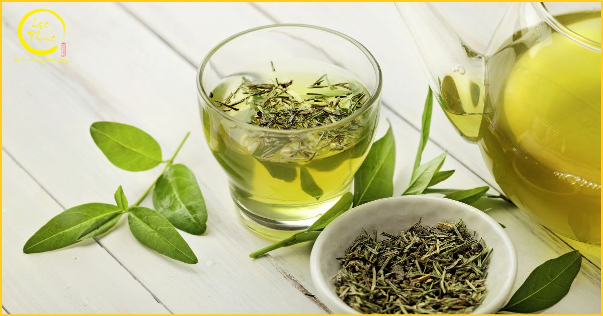Lợi ích tuyệt vời của Trà Xanh cho sức khỏe