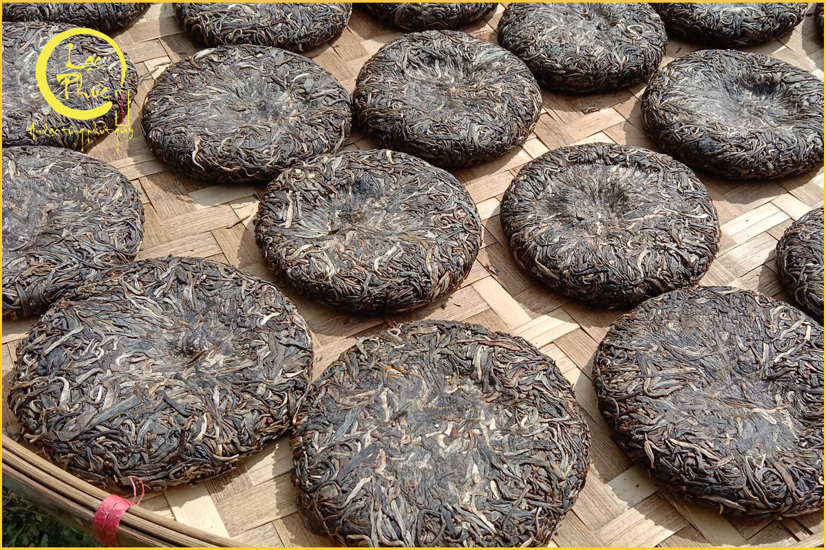 Lời khuyên cho người mới uống Phổ Nhĩ Sống