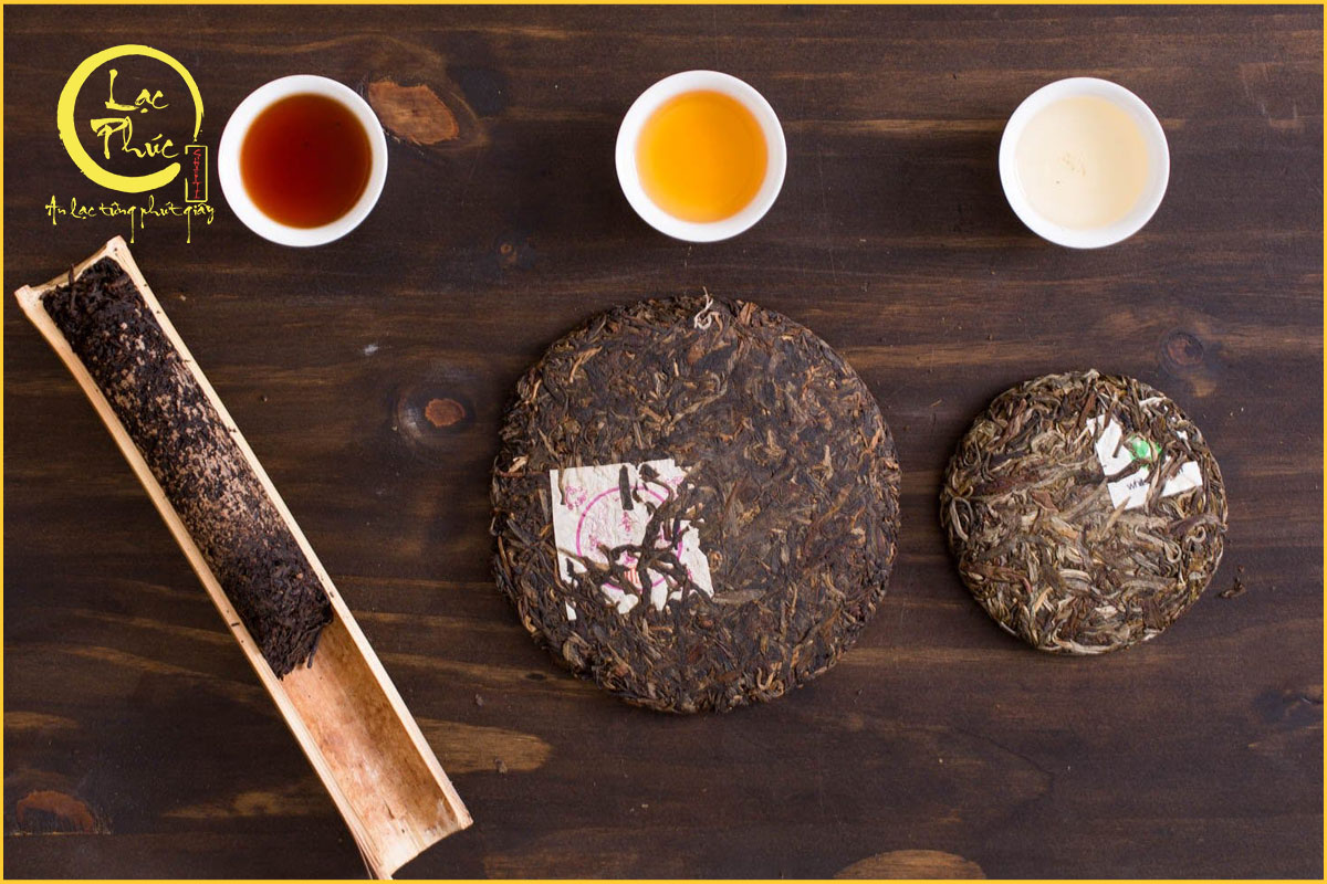 Lời khuyên khi chọn mua Phổ Nhĩ Sống