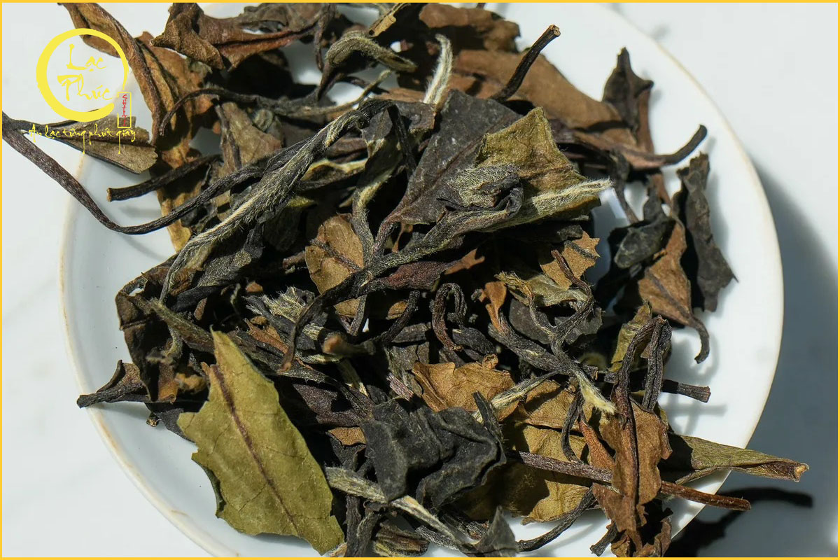 Màu nước Bạch trà Mẫu Đơn Hạ Khai Tử Nha Đơn có gì đặc biệt?
