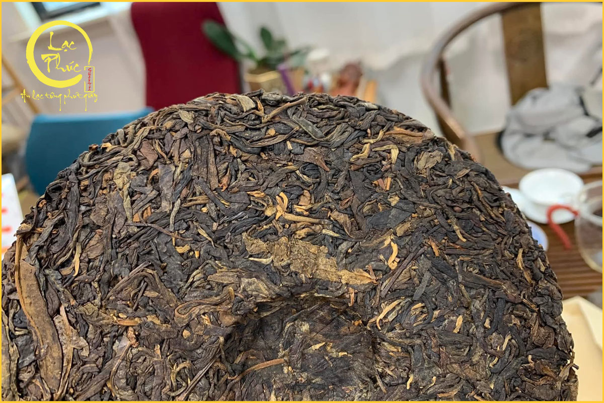 Nếm thử vị sống