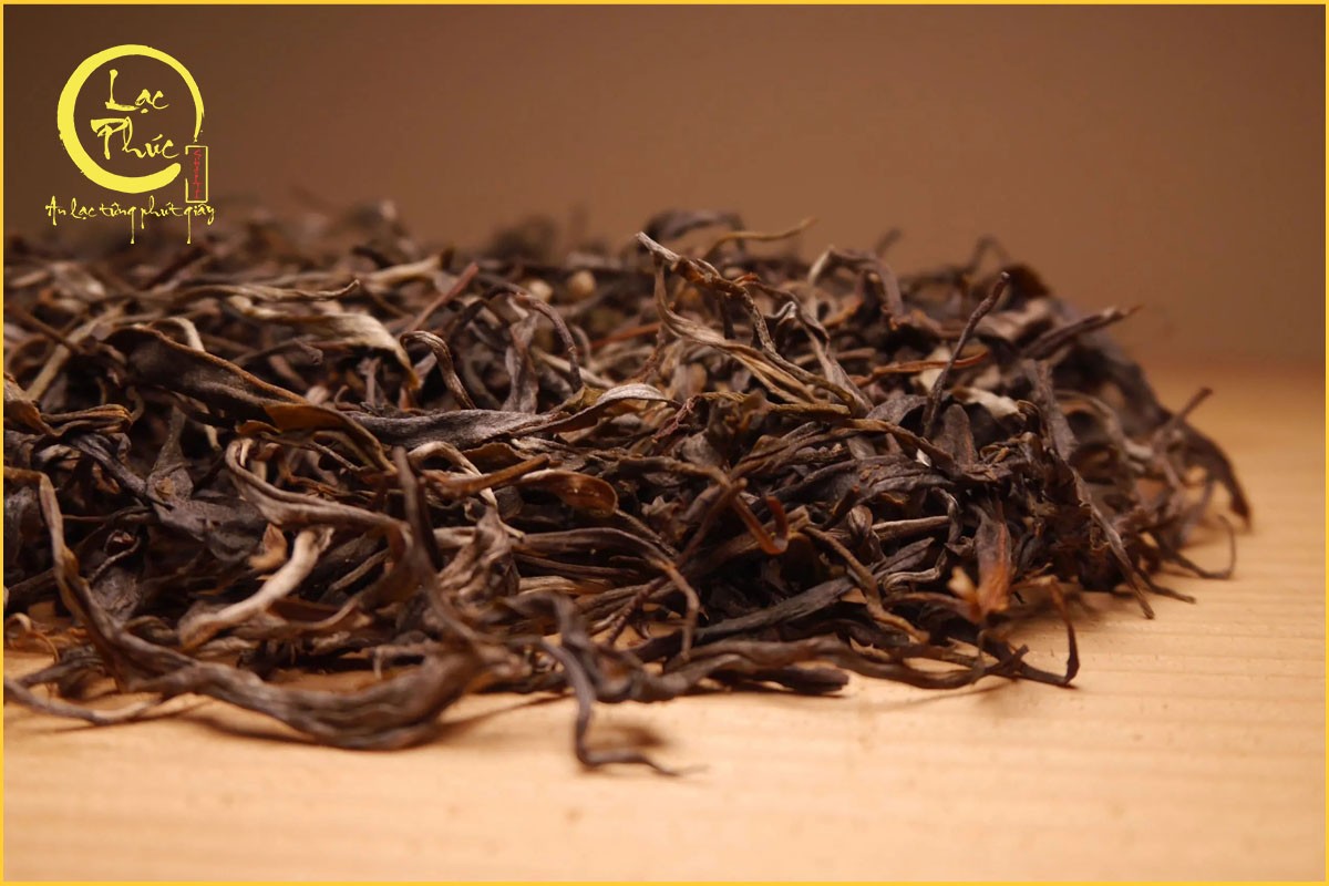 Người mới có nên uống Phổ Nhĩ Sống không?