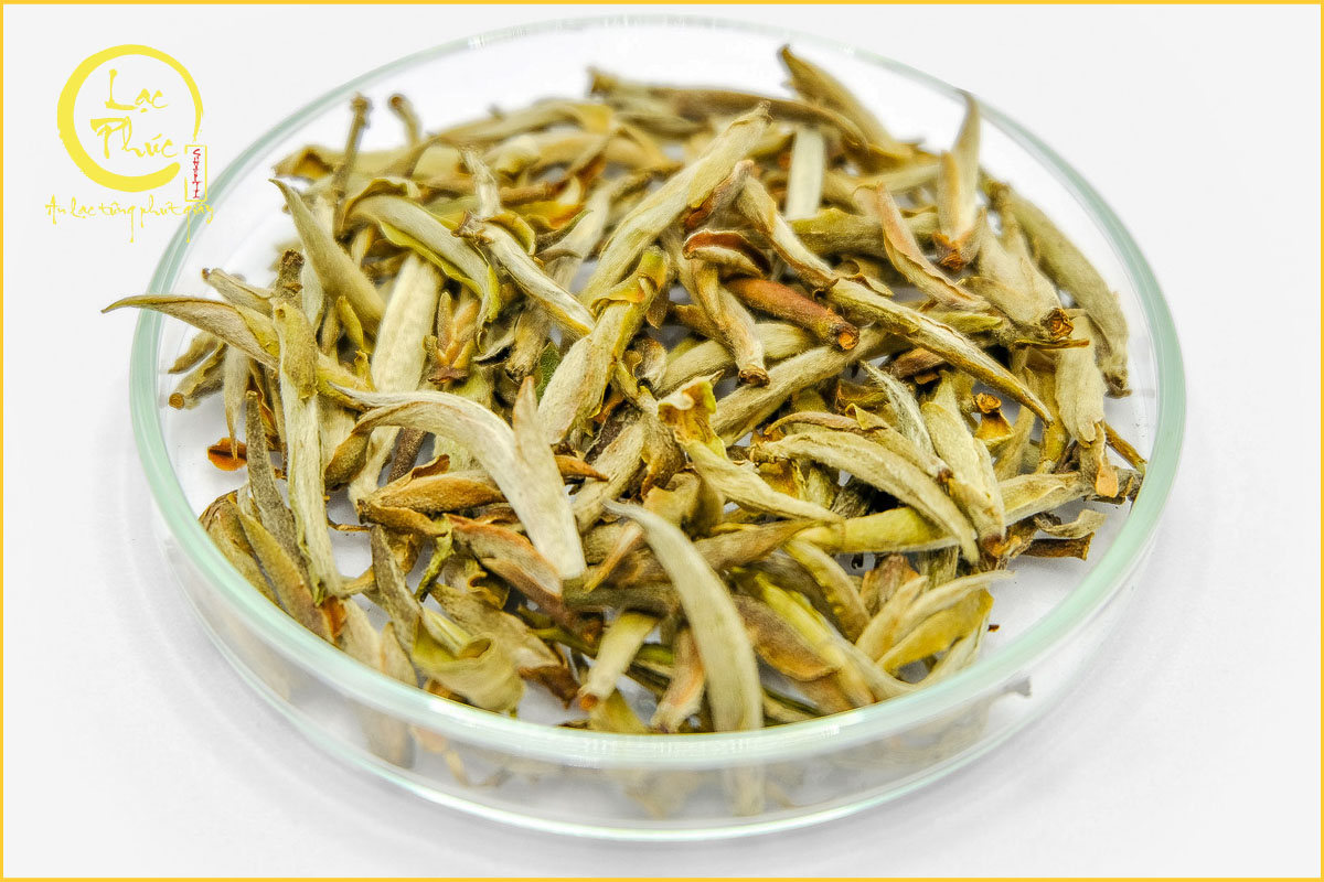 Nguồn gốc của Bạch Trà Tiên