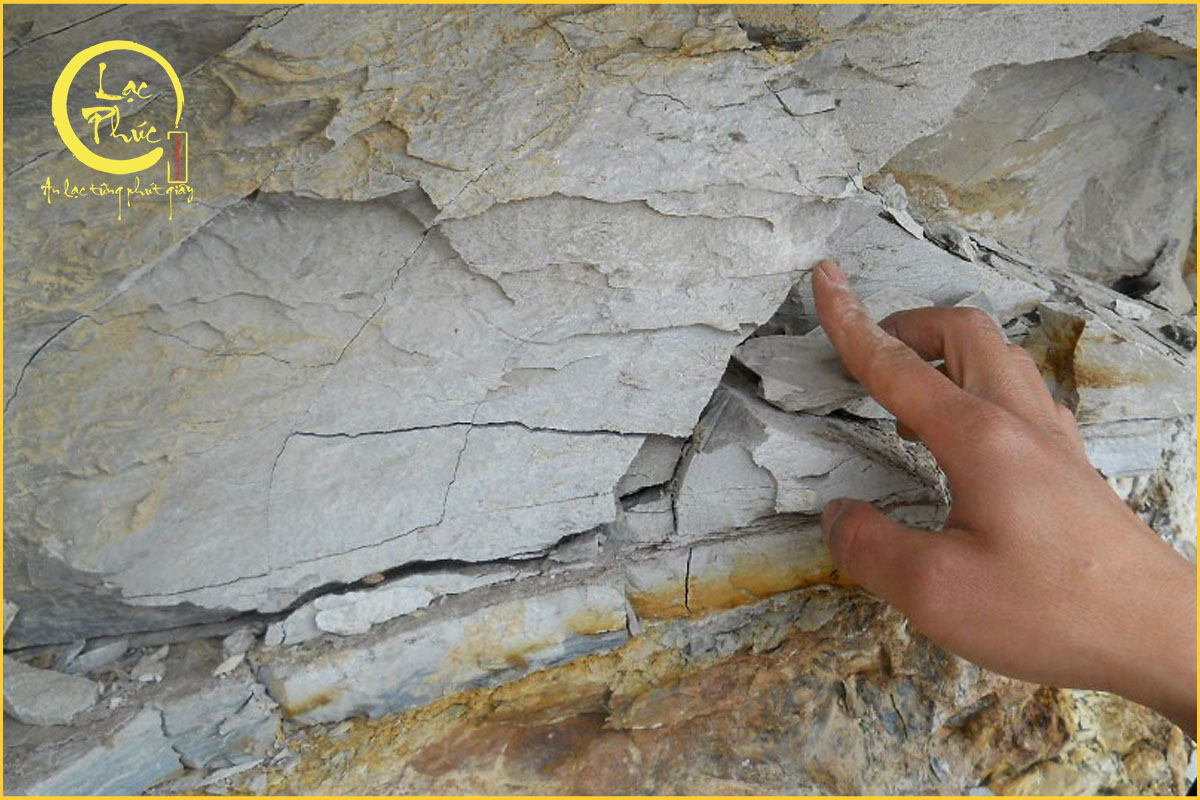 Nguồn gốc và lịch sử hình thành đất tử sa Nghi Hưng