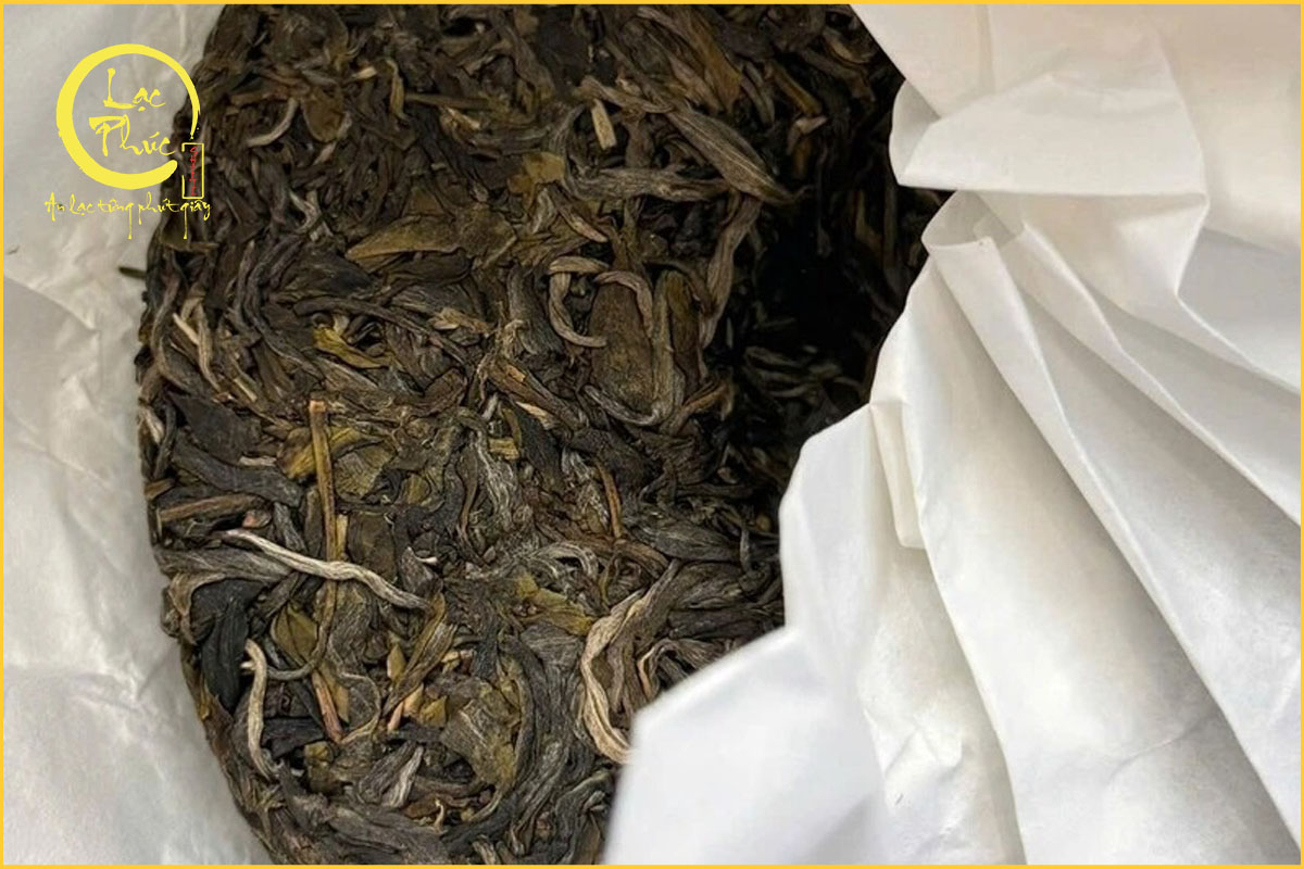 Nguồn nguyên liệu cổ thụ tạo nên chiều sâu cho chất trà