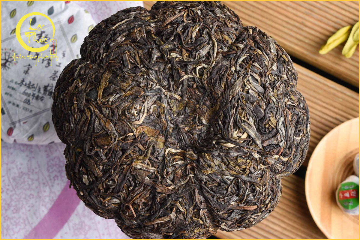 Nguyên tắc cơ bản và cách bảo quản Phổ Nhĩ Sống