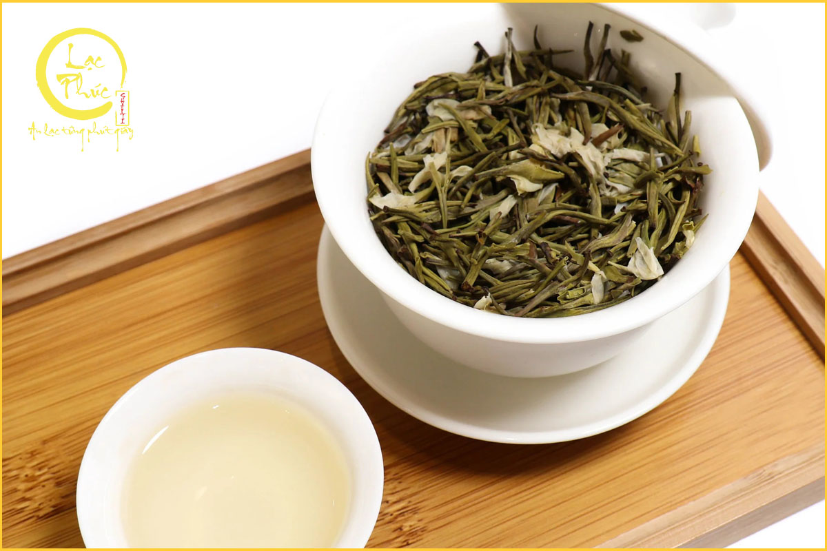 Những ai cần cân nhắc khi uống bạch trà?