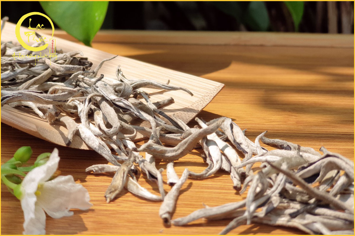 Những ai nên uống Trà Shan Tuyết?