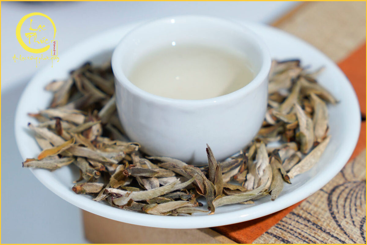 Những lưu ý khi sử dụng Bạch Trà Tiên