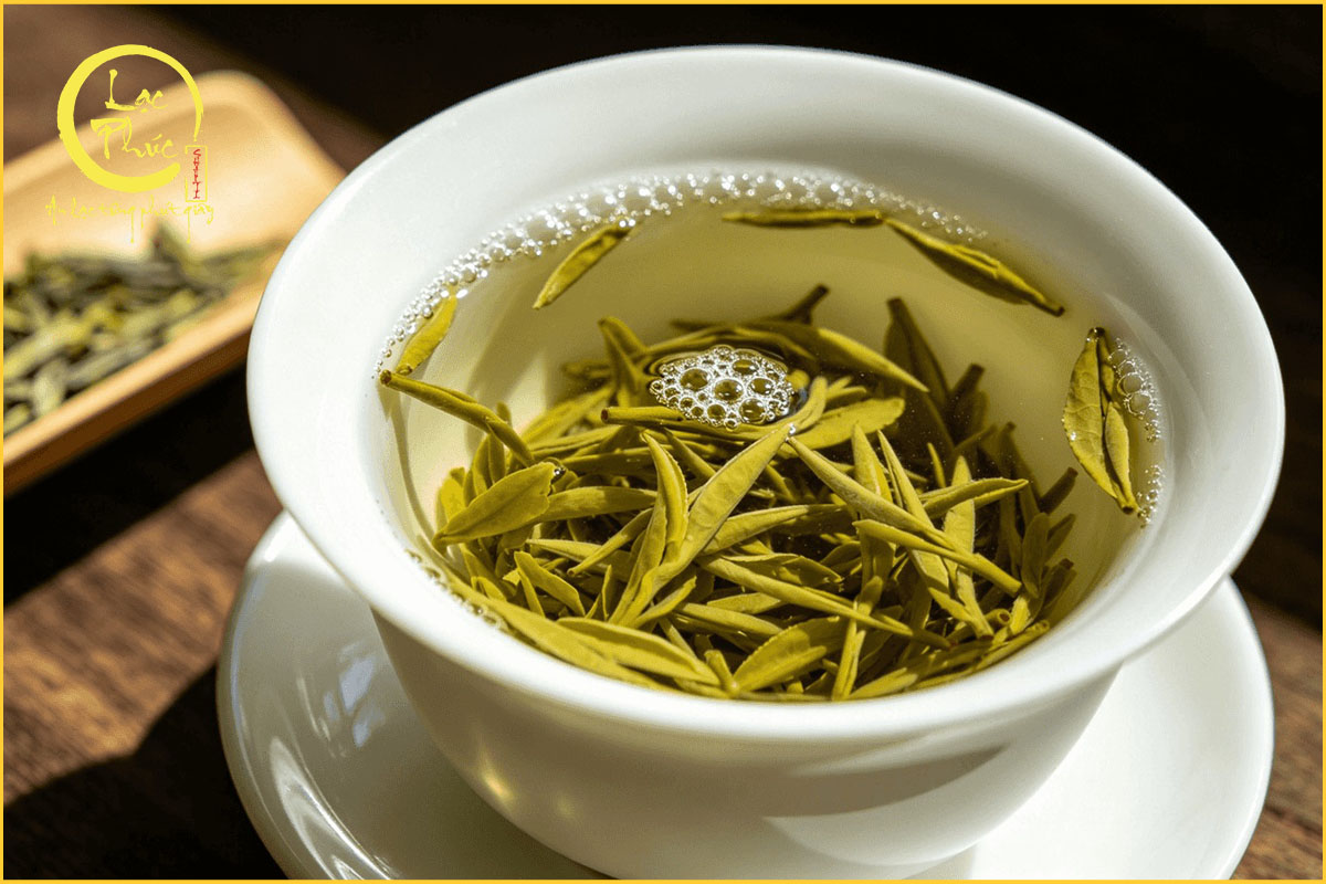Những sai lầm thường gặp khi pha Trà Mao Tiêm Tín Dương