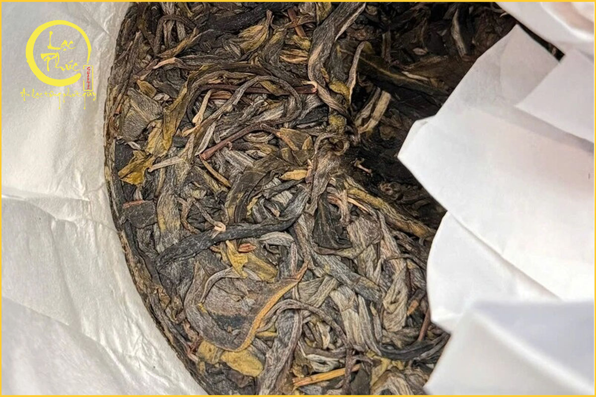 Những yếu tố tạo nên giá trị của Trà phổ nhĩ sống Cảnh Mại Trà Vương