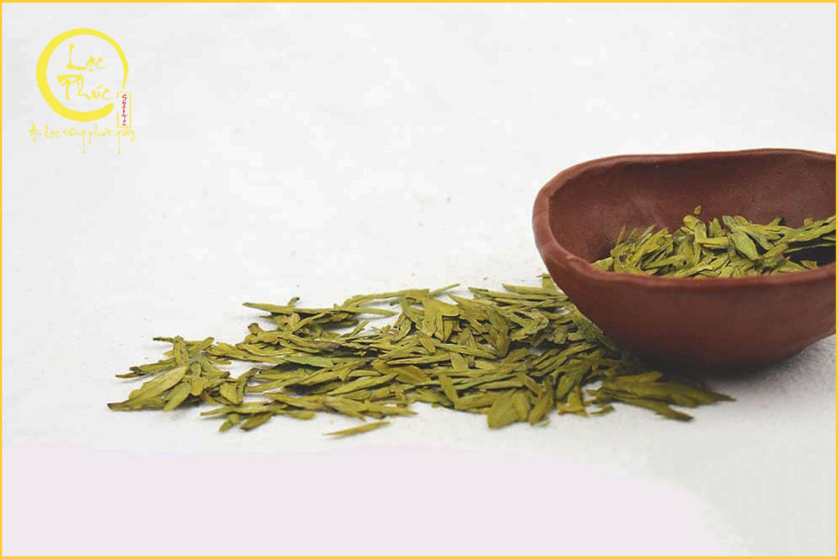 Phân loại hai dòng trà Long Tỉnh phổ biến nhất hiện nay