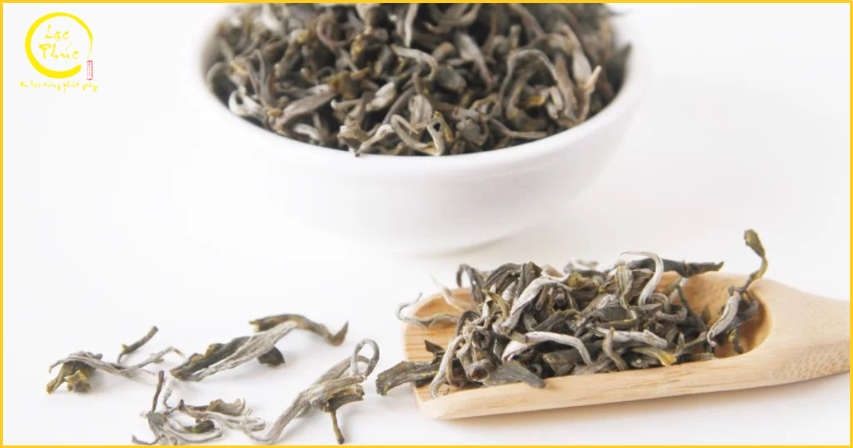 Quá trình chế biến đặc biệt tạo nên Bạch Trà