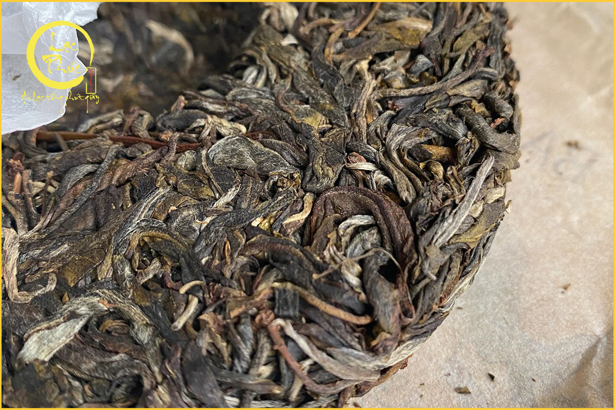 Sắc nước đặc trưng của Trà Phổ Nhĩ sống Vô Lượng Sơn Bí Cảnh