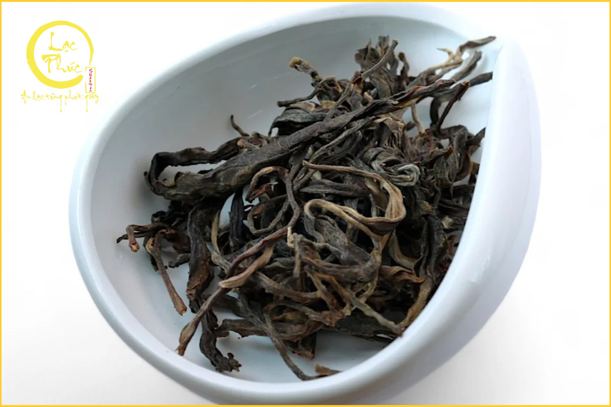 Sinh tân của Trà Phổ Nhĩ sống Lão Ban Chương có gì đặc biệt?