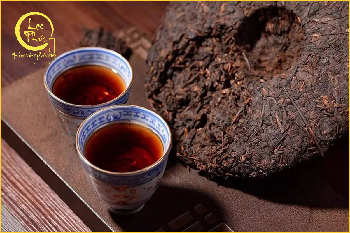 So sánh các dạng Phổ Nhĩ Chín - Dạng nào tiện nhất?