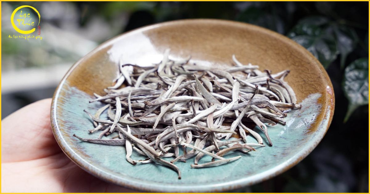Sứ mệnh của Cao Sơn Trà - Lan tỏa hương trà Việt ra thế giới