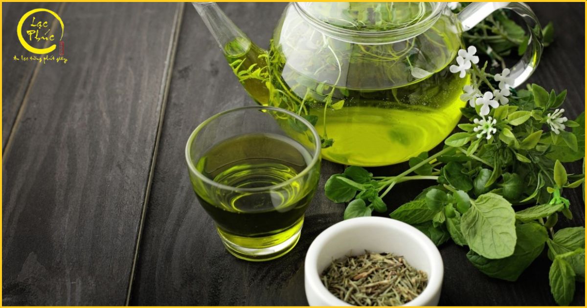 Thành phần dinh dưỡng và hoạt chất chính trong Trà Xanh