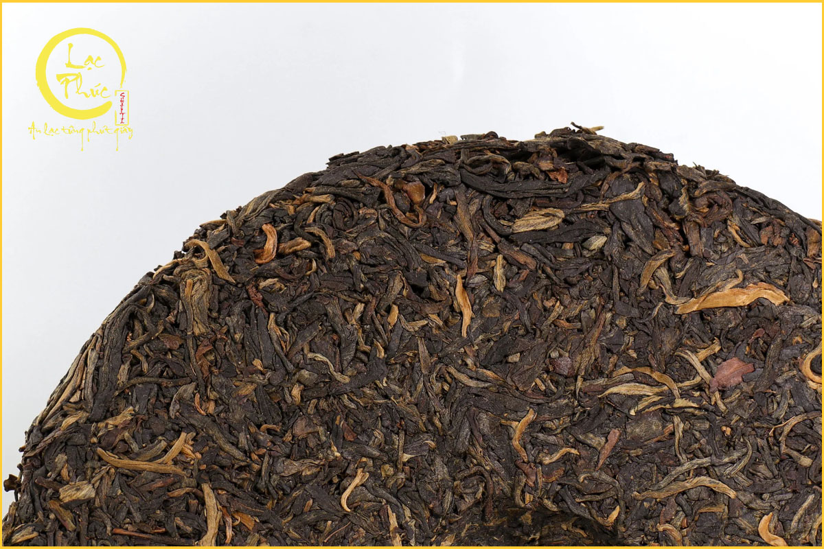 Thành phần quyết định vị chát và gắt của Phổ Nhĩ Sống