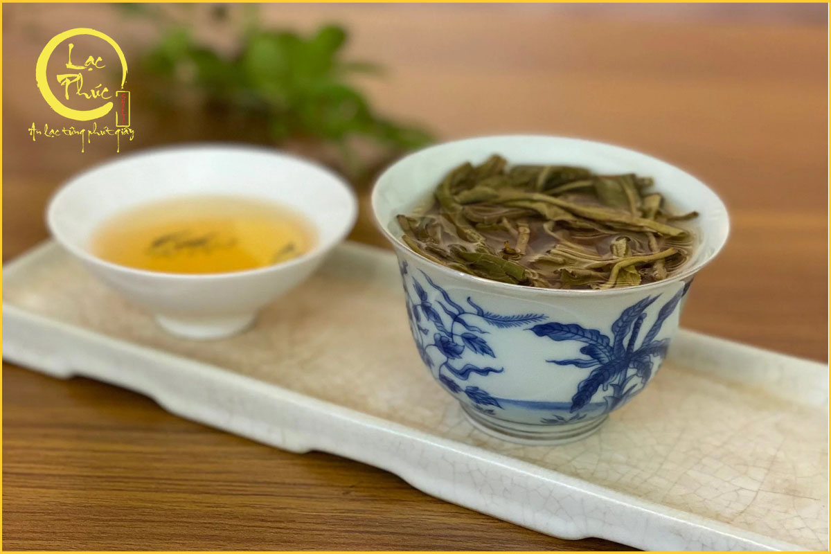 Thổ nhưỡng ảnh hưởng đến chất lượng trà Vô Lượng Sơn như thế nào?