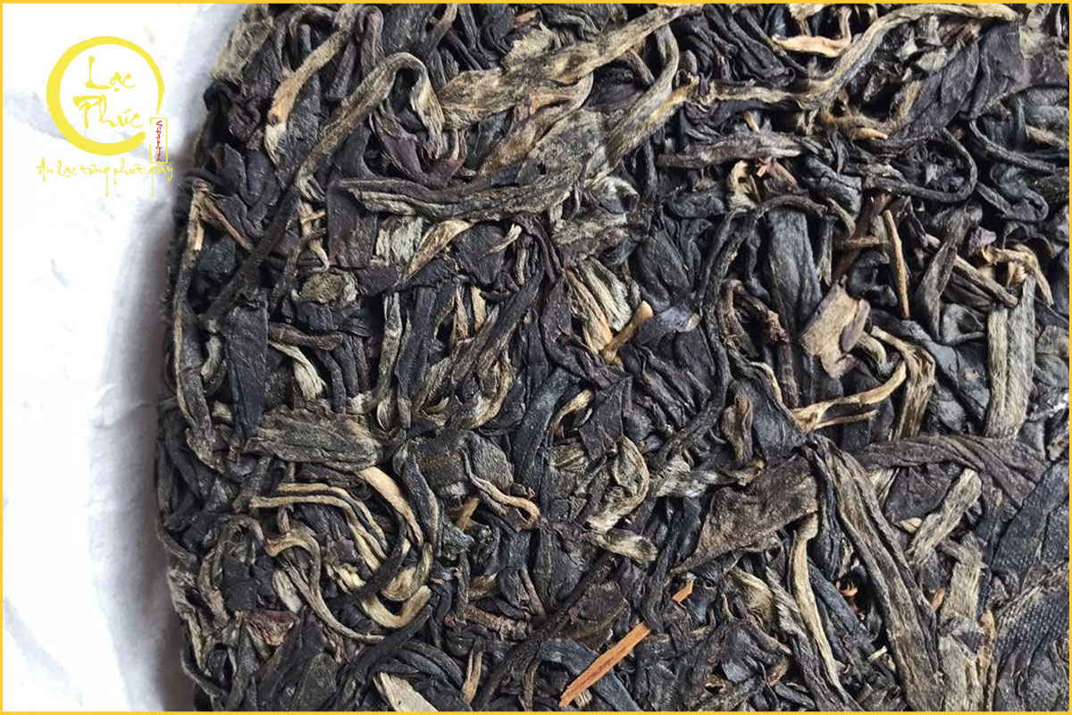 Thổ nhưỡng ảnh hưởng đến chất lượng trà Lâm Thương như thế nào?