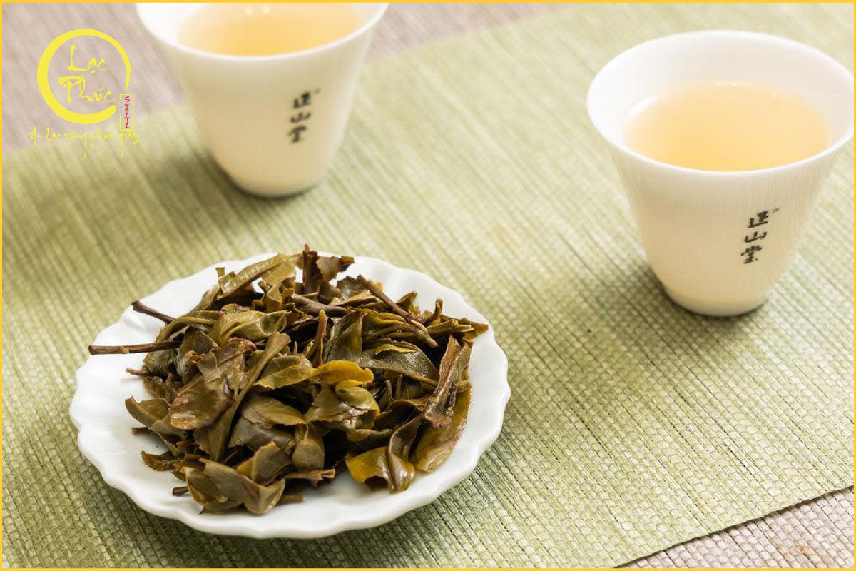 Thổ nhưỡng vùng trà Vô Lượng Sơn có những đặc điểm gì?