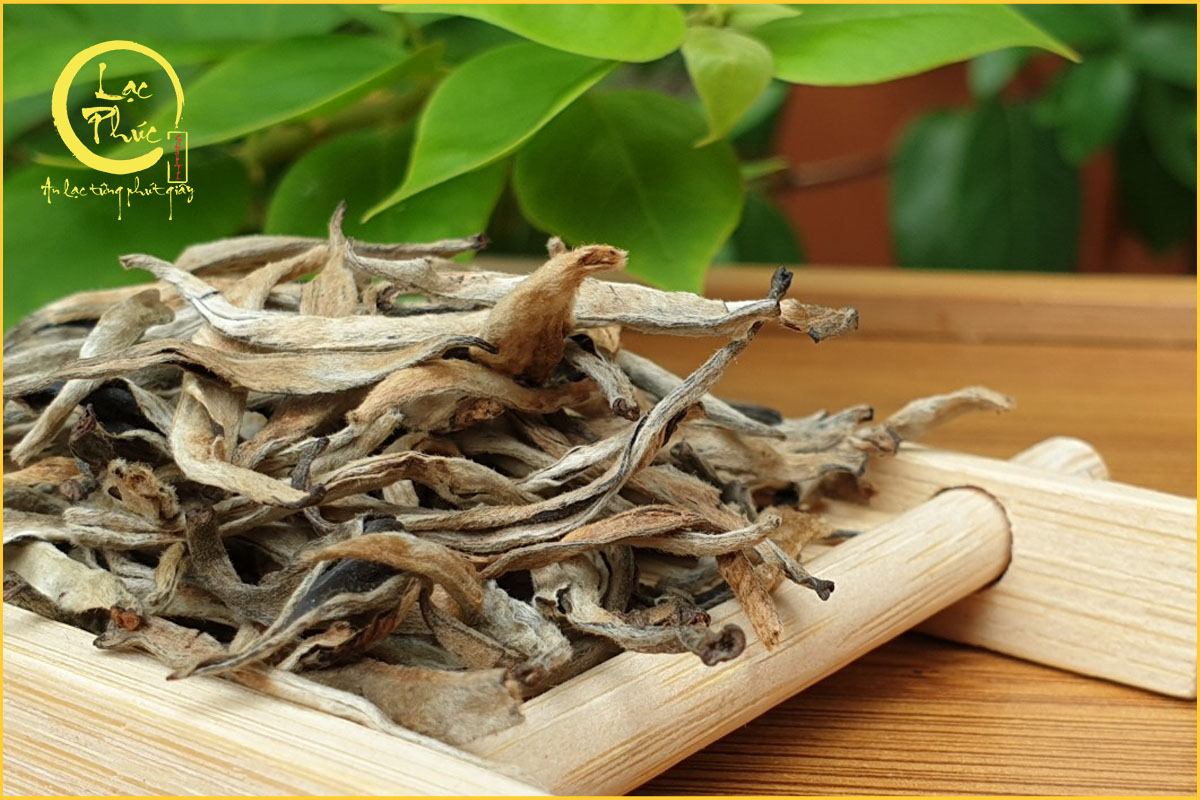 Thời điểm và cách uống Trà Shan Tuyết đúng cách