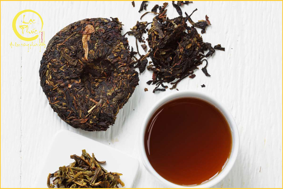 Tổng quan về trà Phổ Nhĩ từ cây cổ thụ Hà Giang