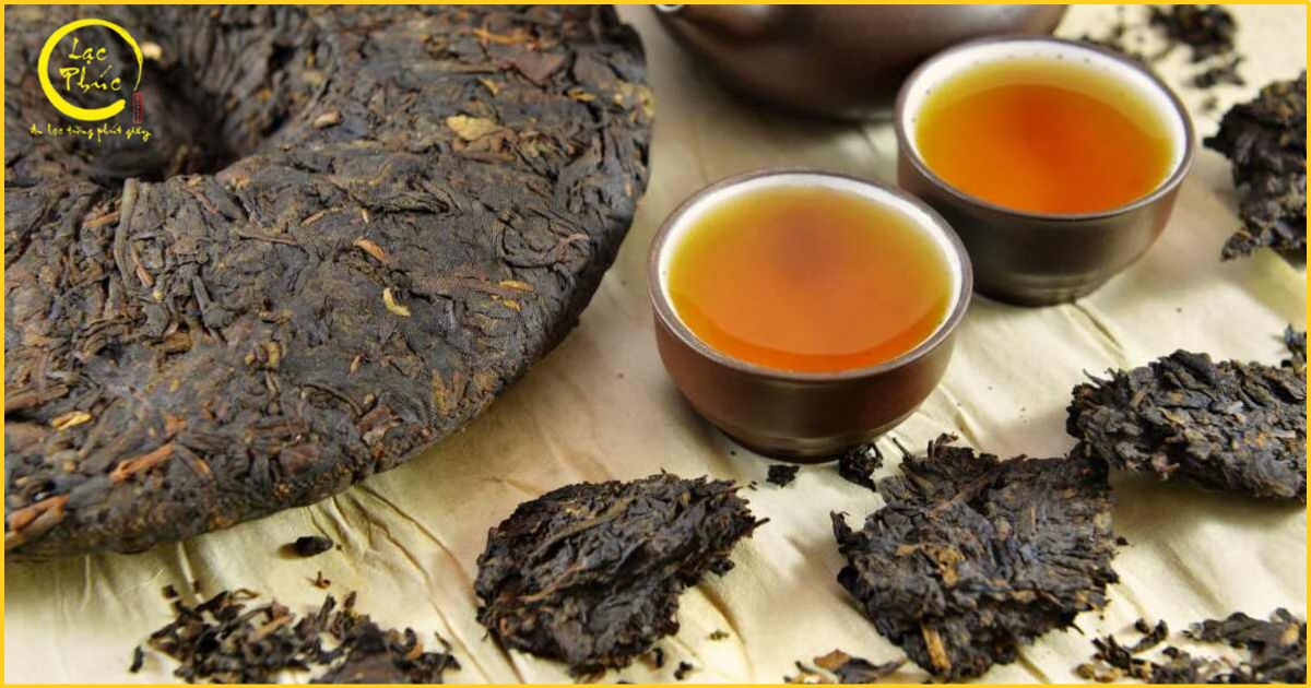 Trà Phổ Nhĩ là gì? Nét đặc trưng của loại trà lên men cổ truyền