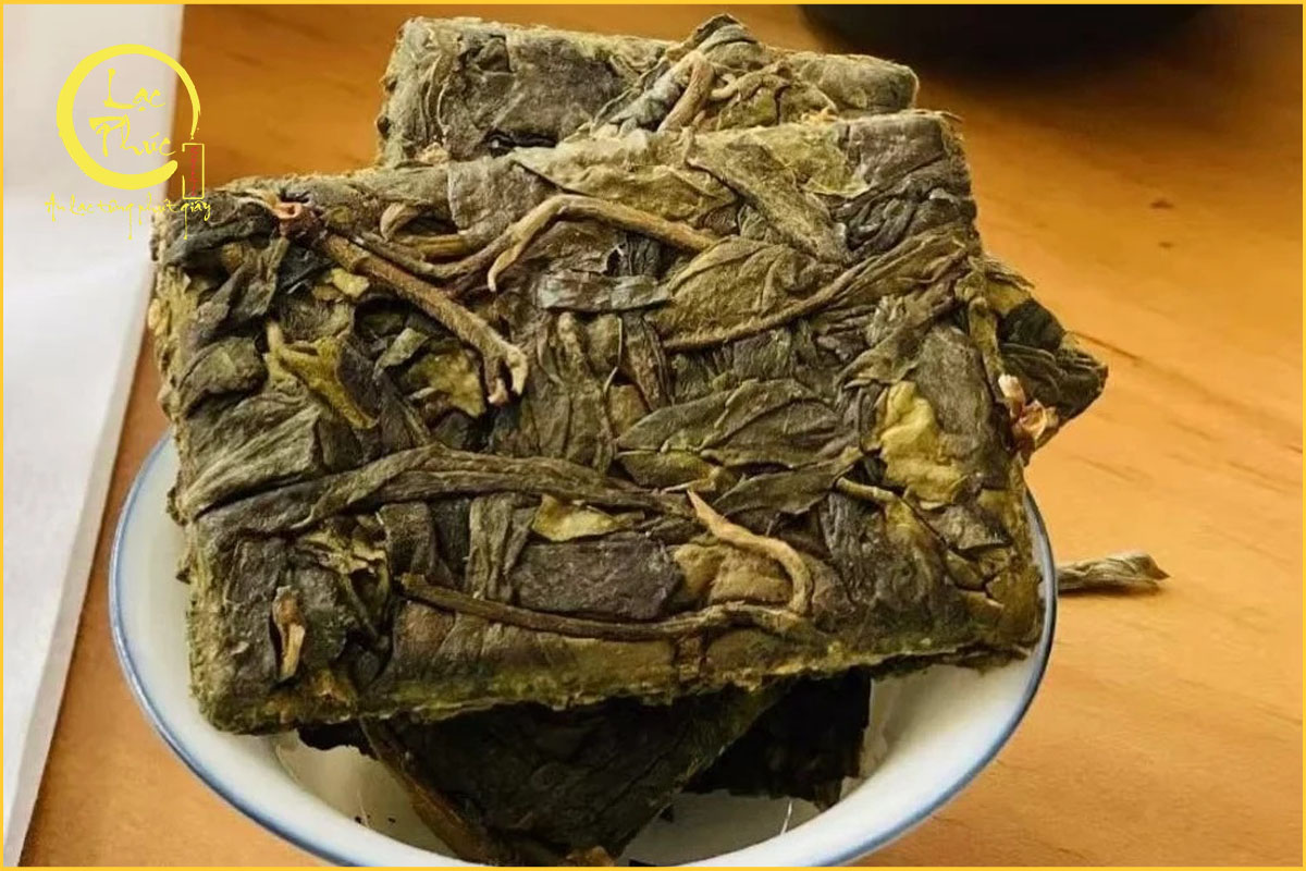 Trà Phổ Nhĩ sống Lão Ban Chương có hương vị như thế nào?