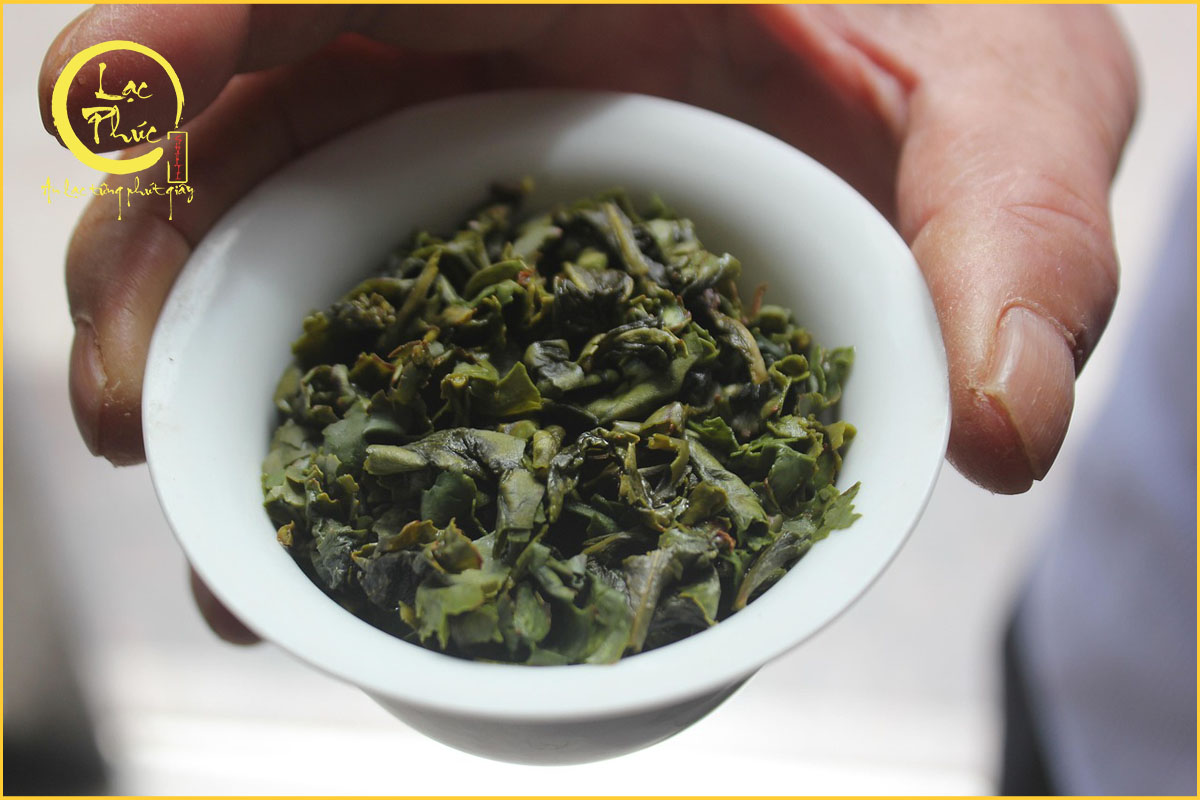 Trà Thiết Quan Âm có thể giúp giảm stress và thư giãn tinh thần không?